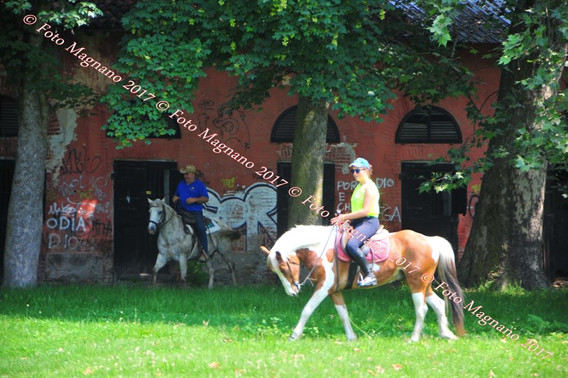 DSC_0926.JPG
